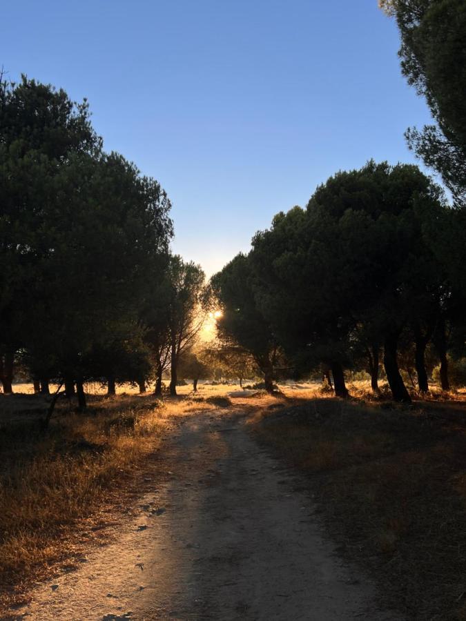 Posada Rural La Resinera Ла-Адрада Екстер'єр фото