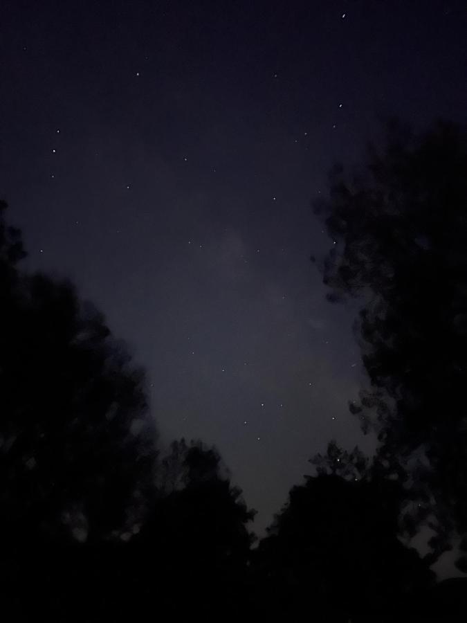 Posada Rural La Resinera Ла-Адрада Екстер'єр фото