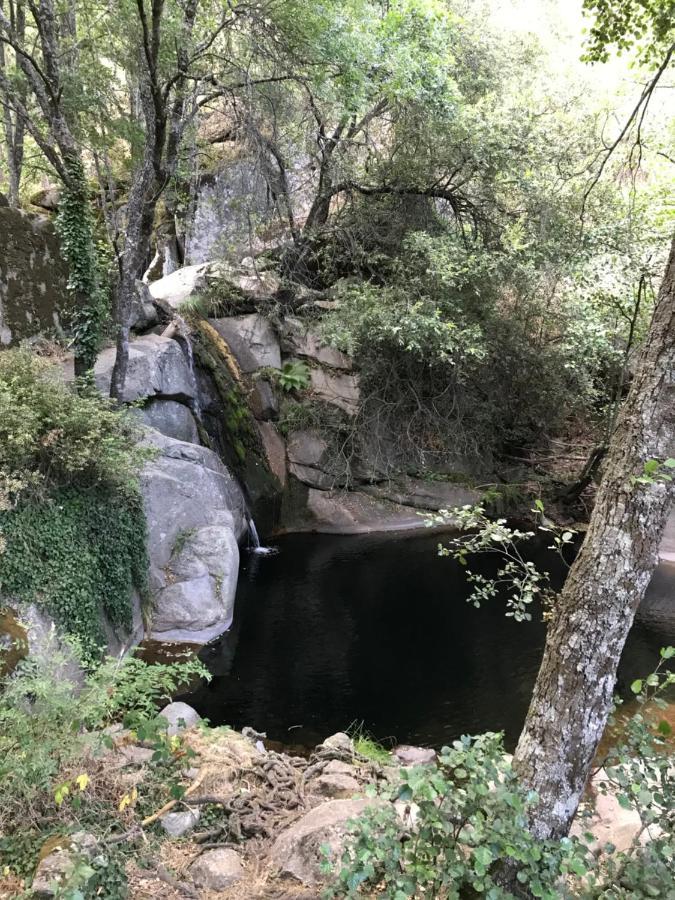 Posada Rural La Resinera Ла-Адрада Екстер'єр фото