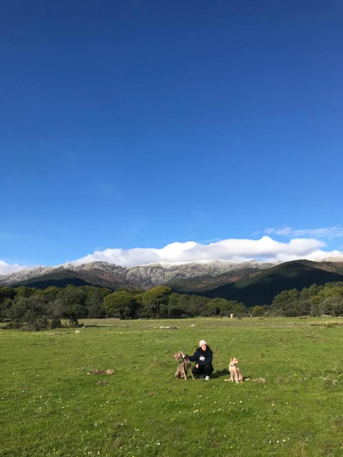 Posada Rural La Resinera Ла-Адрада Екстер'єр фото